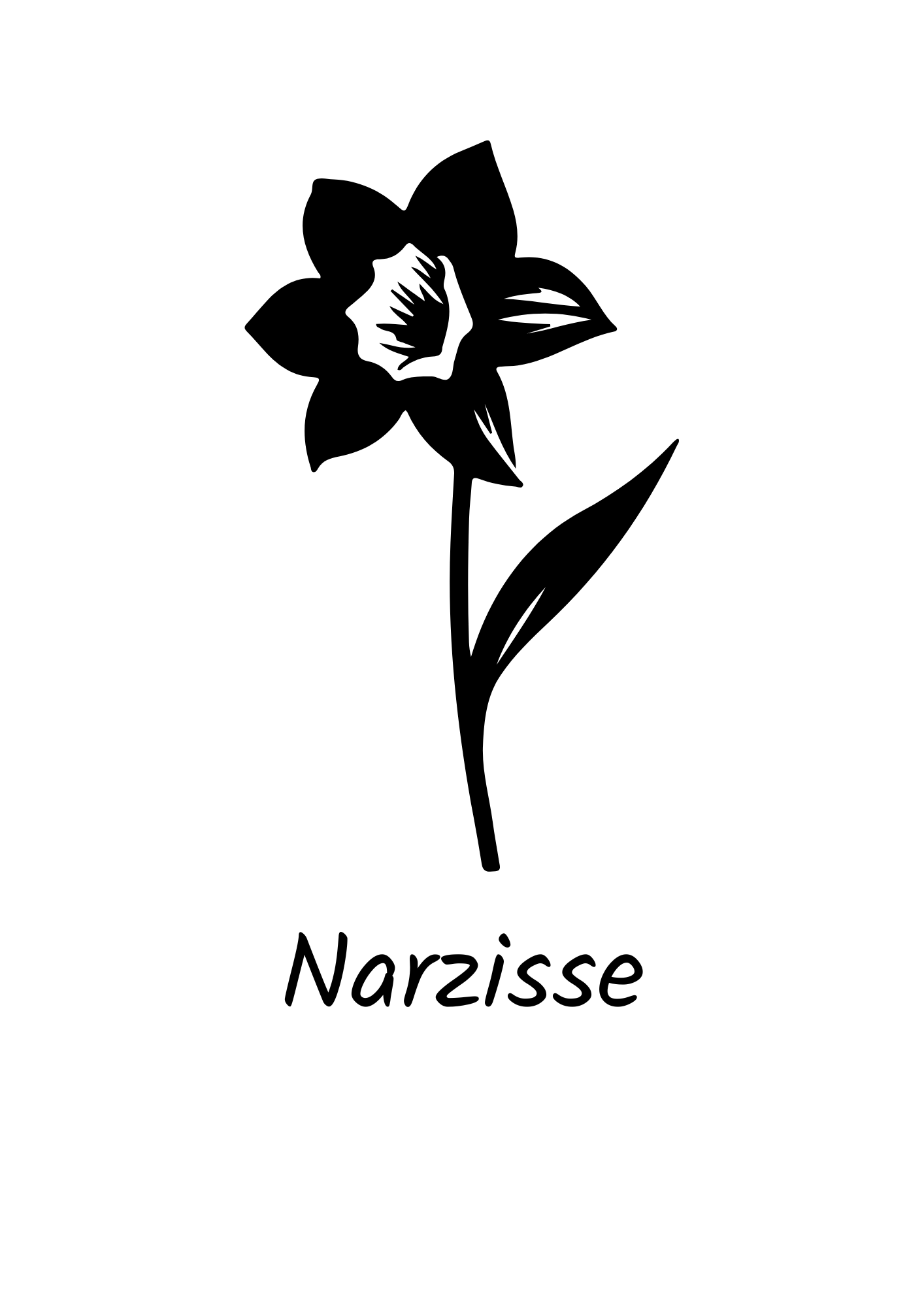 März - Narzisse