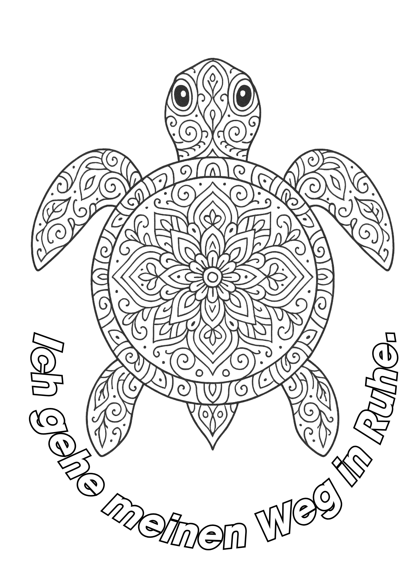 Schildkröte