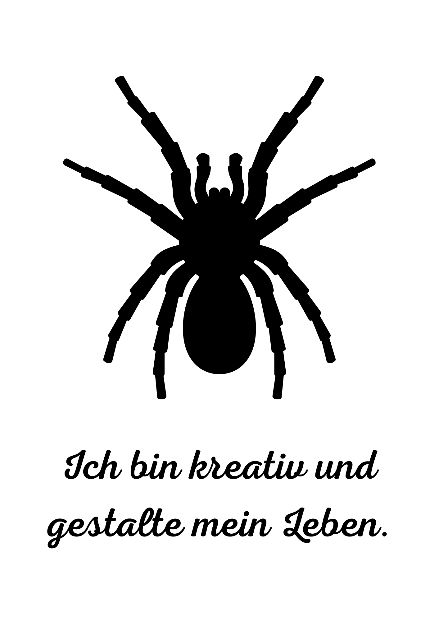 Spinne