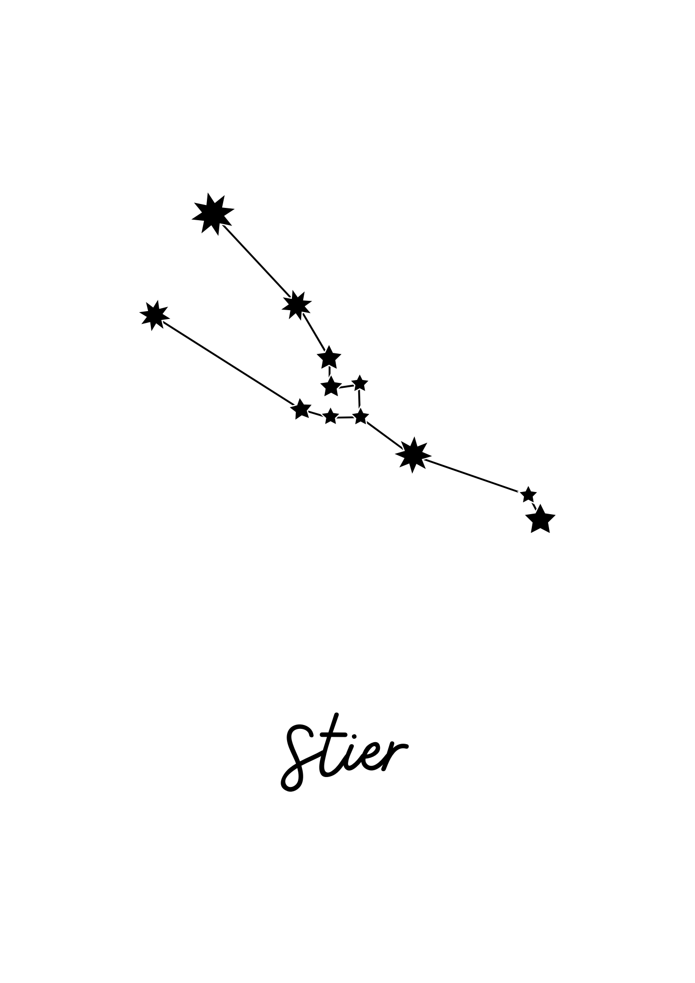 Stier 3