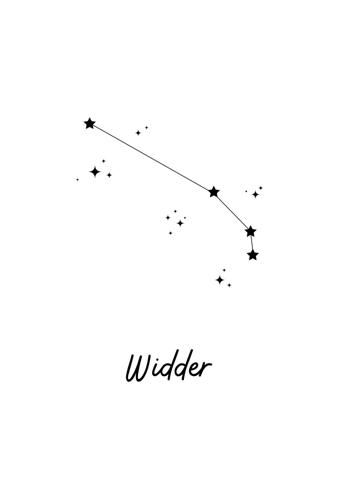Widder 3