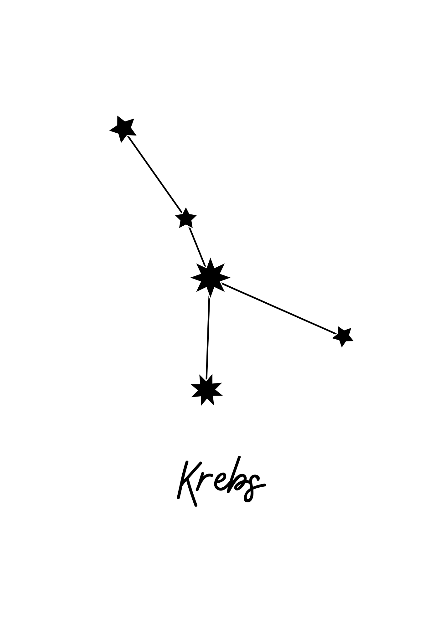 Krebs 3