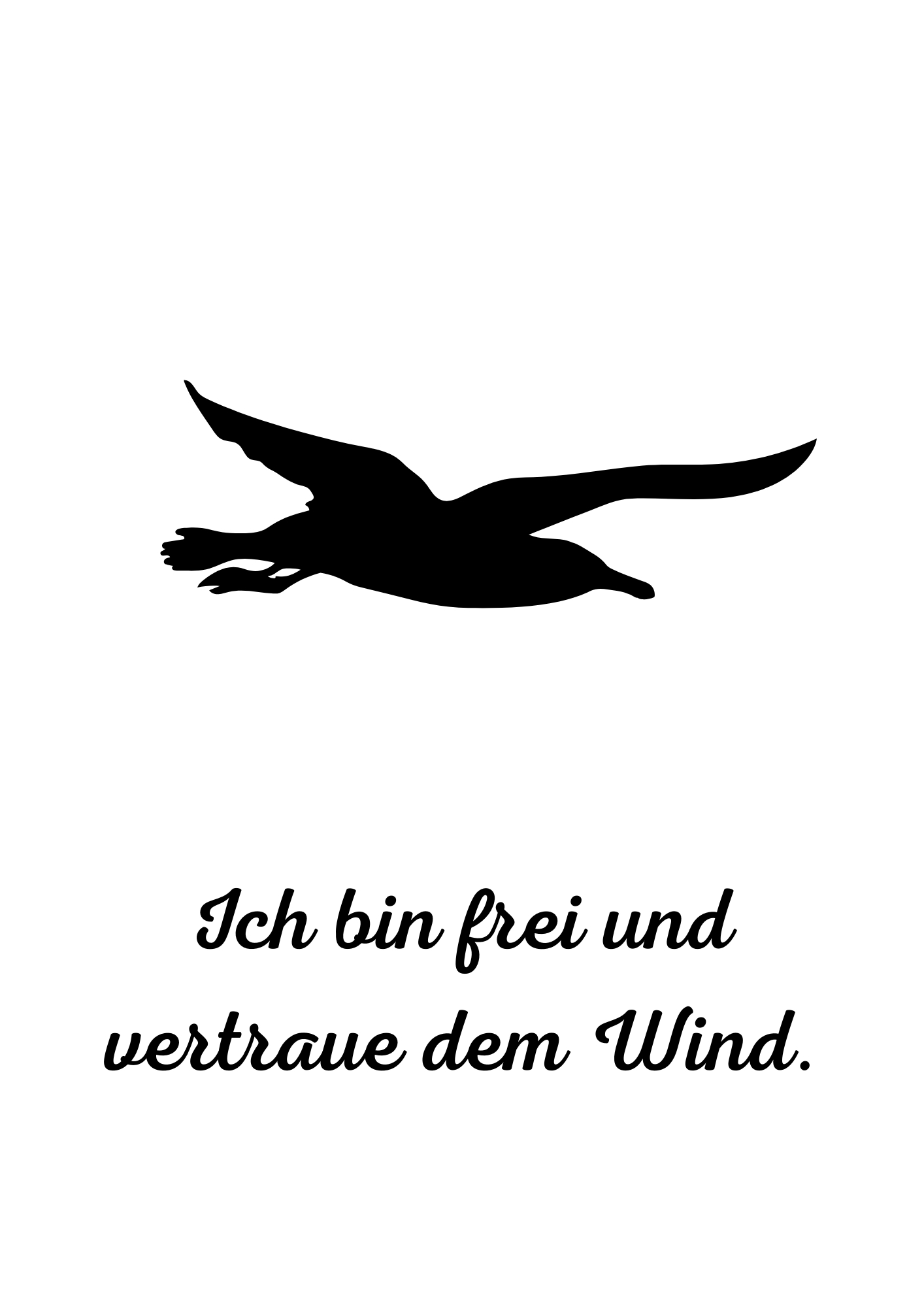 Möwe