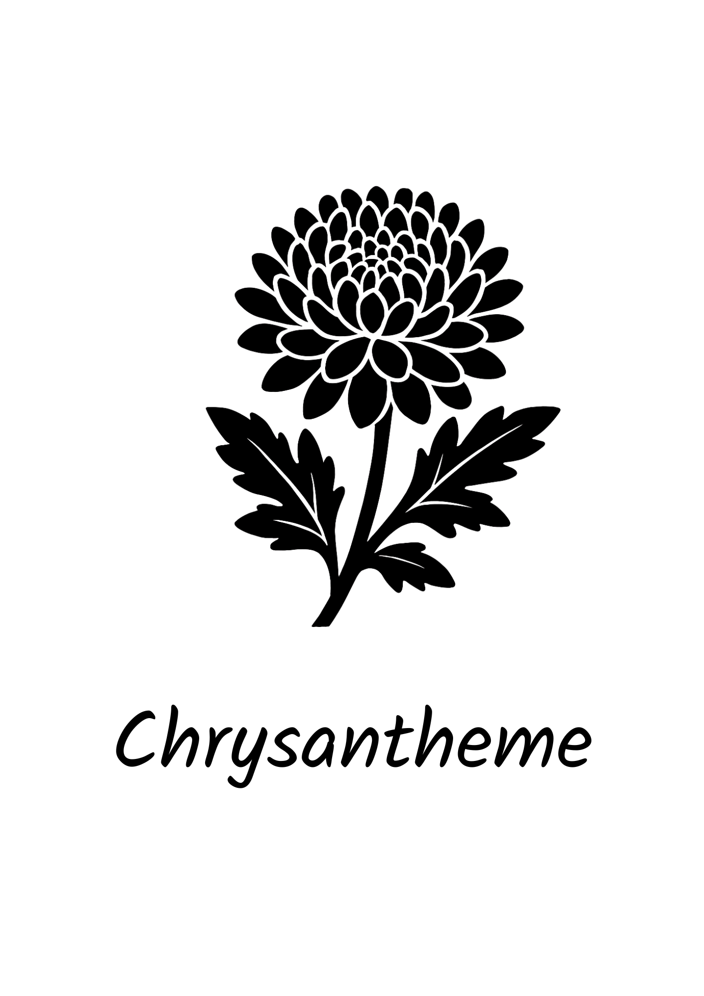 November - Chrysantheme