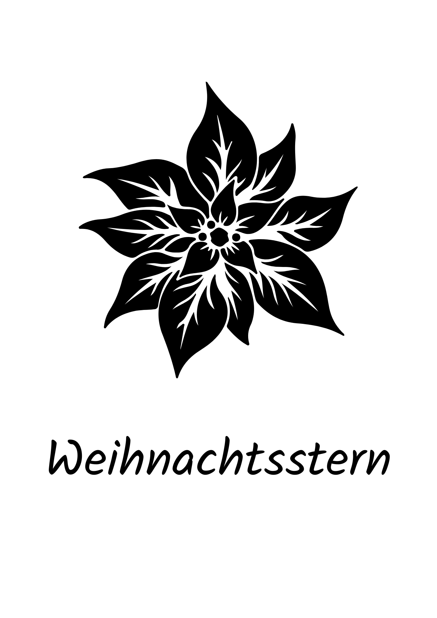Dezember - Weihnachtsstern