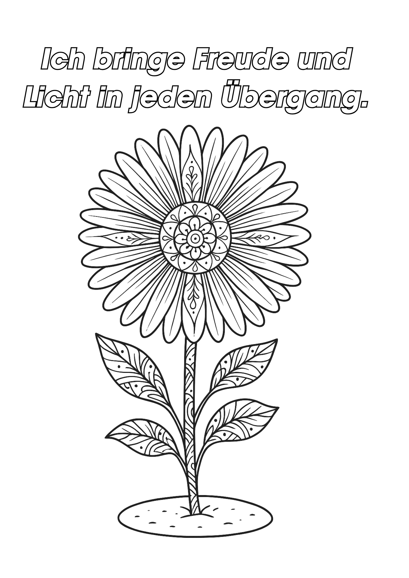 Aster