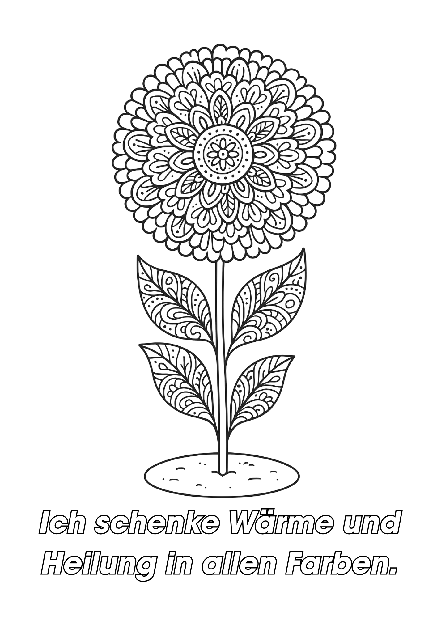Ringelblume