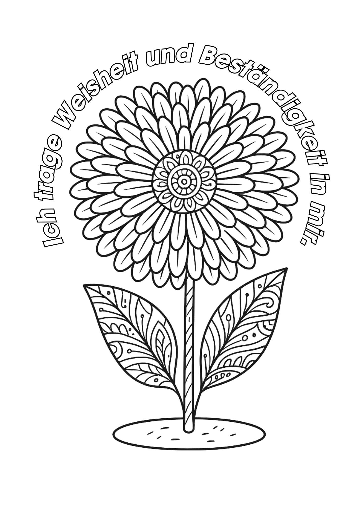Chrysantheme